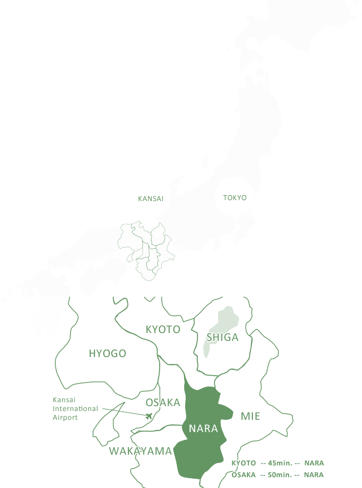 KANSAI NARA Treasure Travel  NARA Unveiling Ancient JAPAN