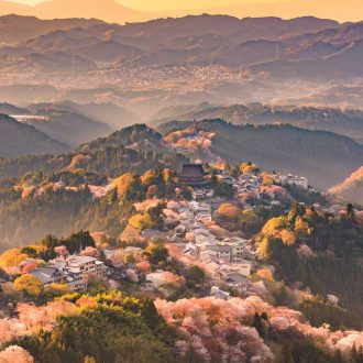 KANSAI NARA Treasure Travel  NARA Unveiling Ancient JAPAN