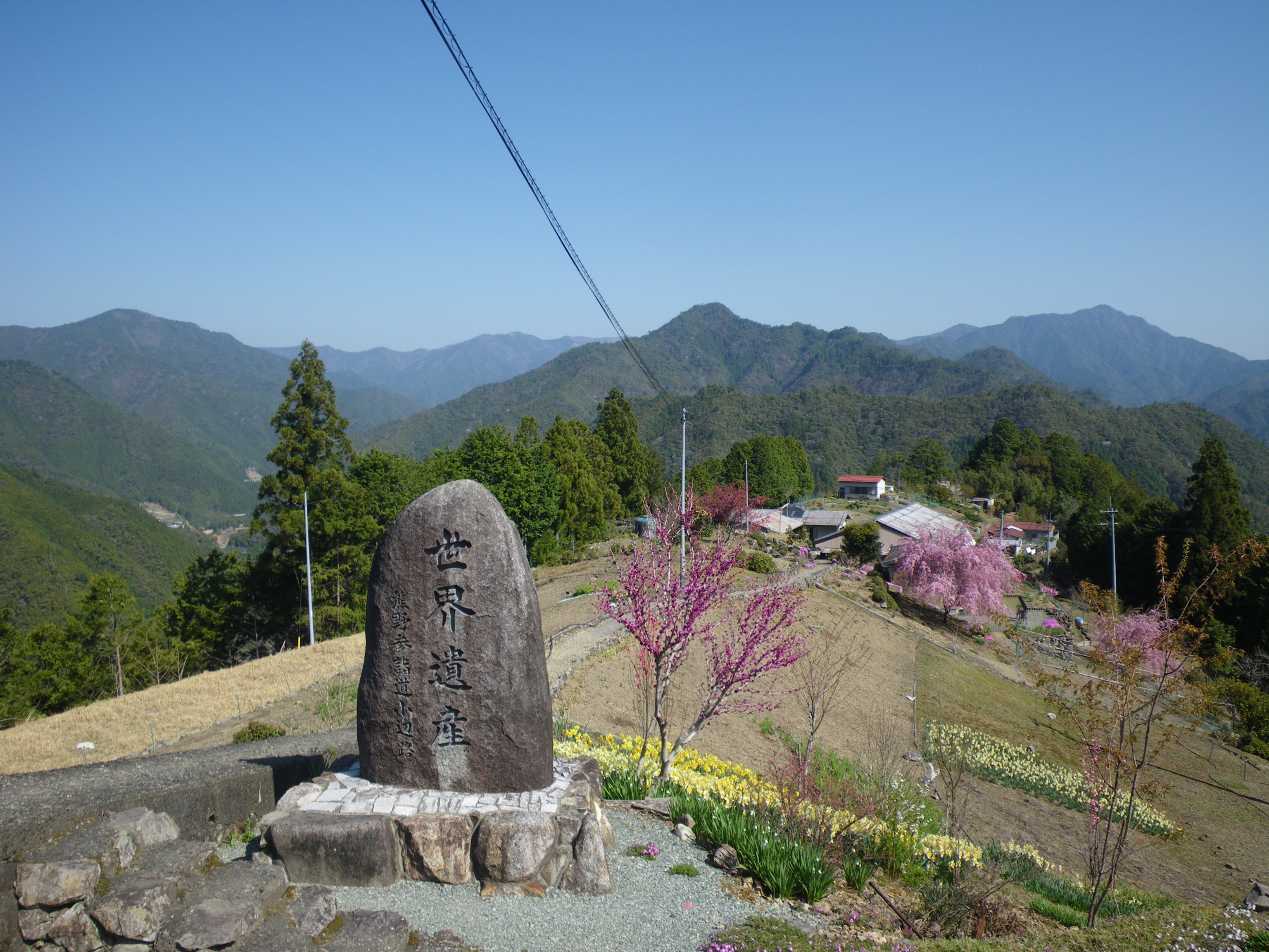Scenic Trekking on the Historical Kumano Kodo Kohechi Route!