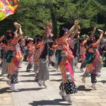 Basara Dance Festival 2019 in Nara.  Come and join us!