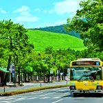 Recommended Way to Go Sightseeing in Nara City on a Bus