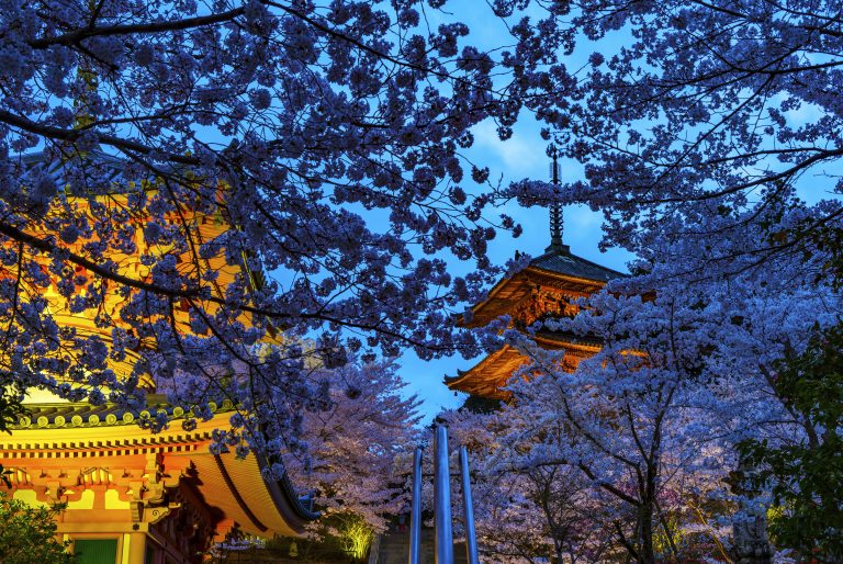 Special Entry Night at Tsubosaka-dera Temple | KANSAI NARA Treasure ...