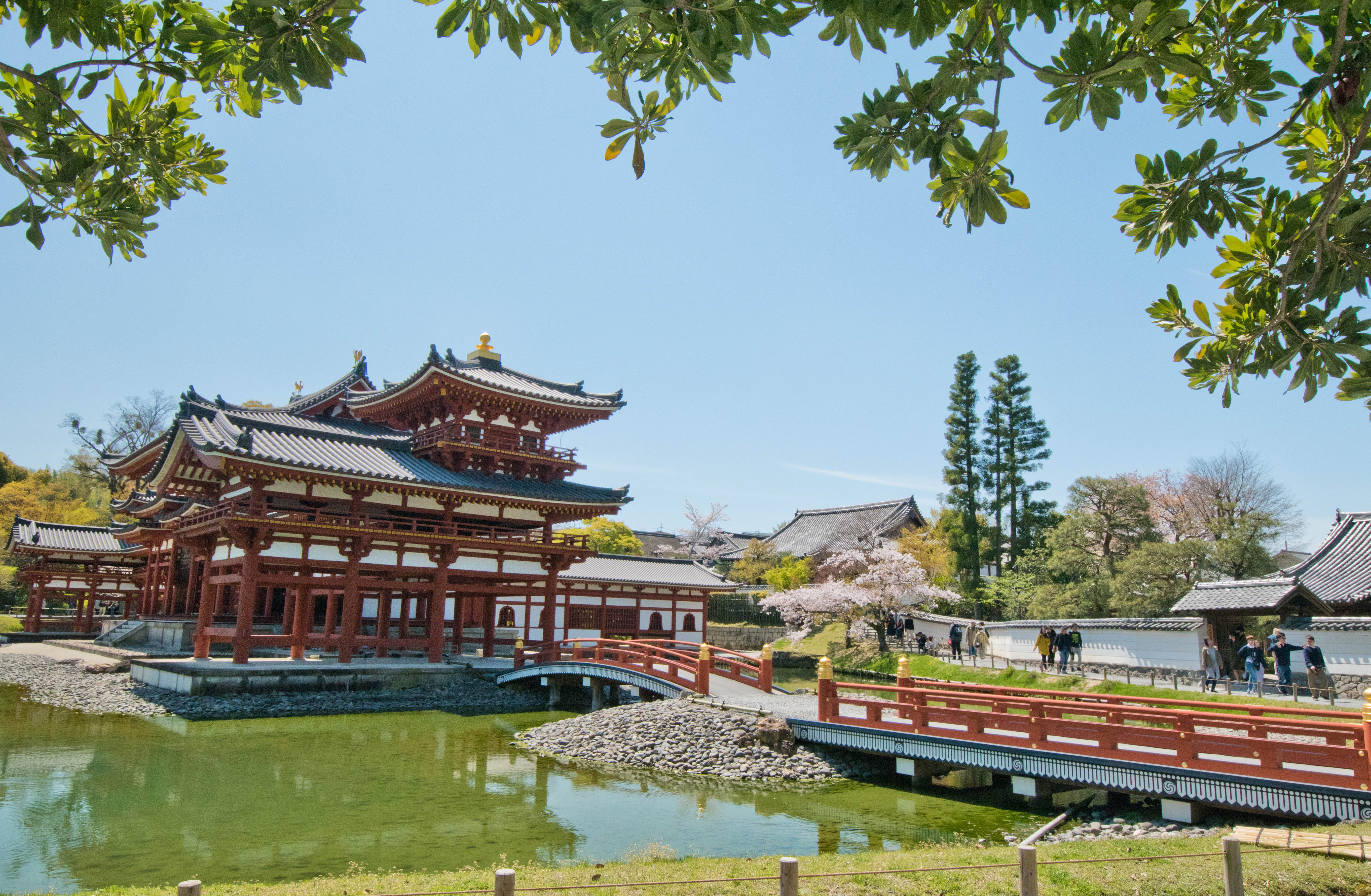 [Day Trip] 1-Day Nara and Uji Private Tailor-made Tour