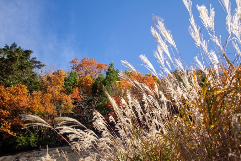 Off The Beaten Track, Totsukawa Village | KANSAI NARA Treasure Travel ...