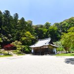 Shoryaku-ji Temple: Dragons, Nature, and Sake