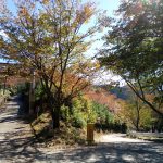 Yoshinoyama: Ancient Mountain Temple District in Southern Nara