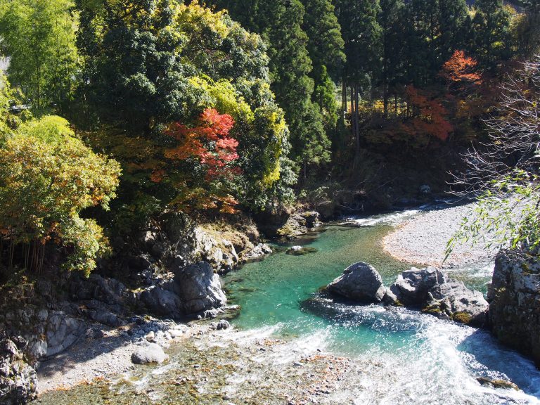 Recommended locations for Autumn Leaf Viewing in Nara Prefecture ...