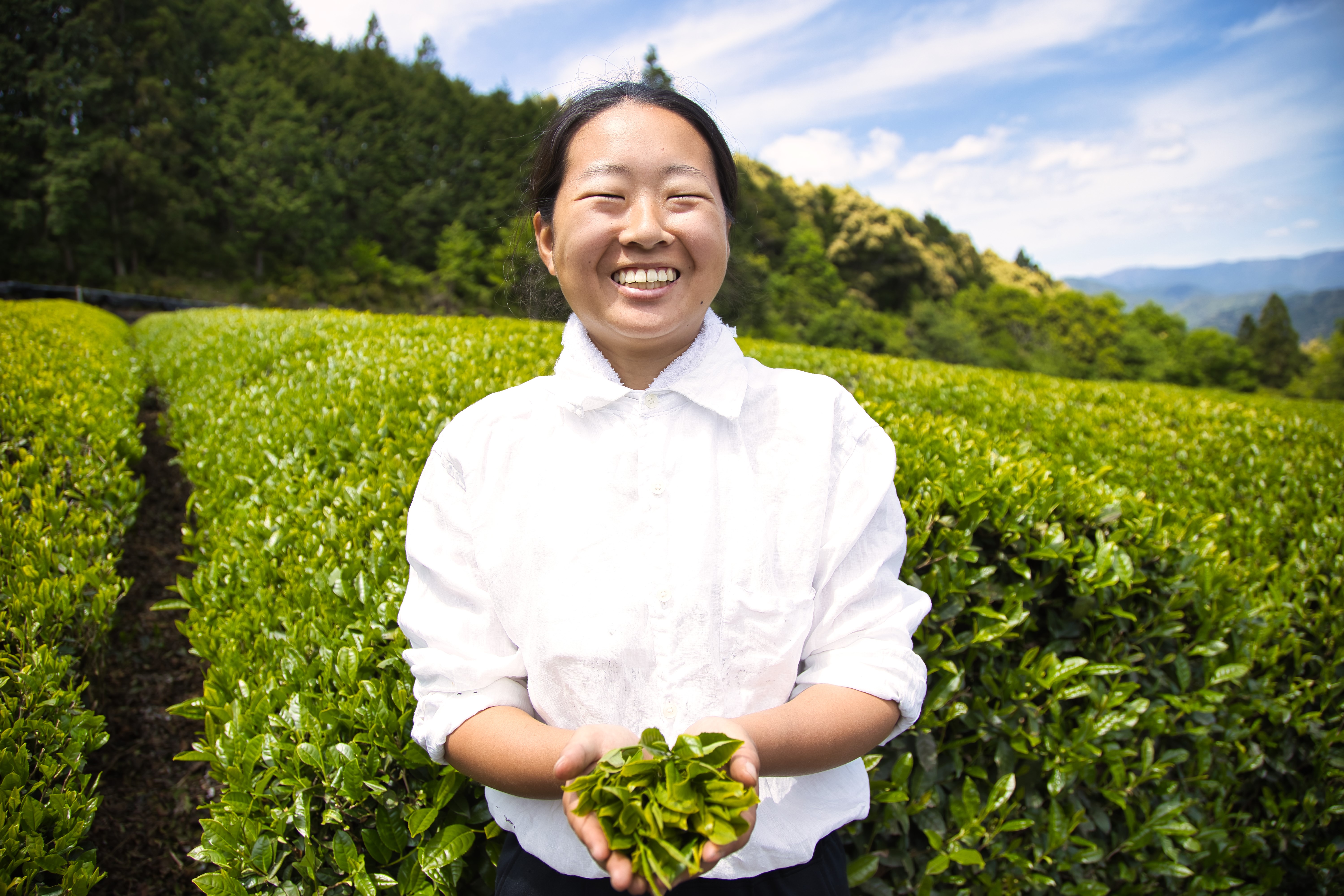 Visit Nacchan's Tea Plantation Farm with local tour guide 'Hanako'