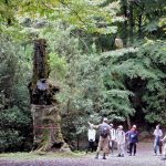 Mt. Kasuga Primeval Forest -A Place Preserved as a Sacred Grove for 1,300 Years-
