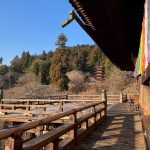 Refresh your soul at Hasedera temple