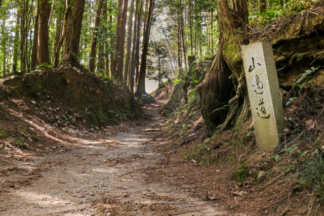 Yamanobe-no-Michi Hiking