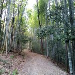 The Northern Yamanobe-no-Michi Path