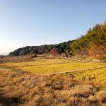 Cold Weather Exploration of Nara’s Countryside