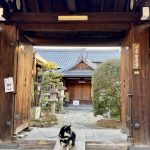A Chance to See Unseen Nara Buddhist Temples: Special Openings around Old Townscapes Naramachi and Kitamachi