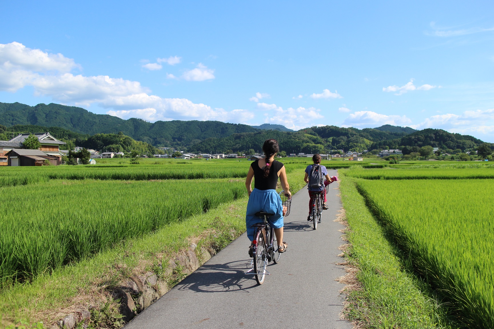 The Secret of the Stones -1 Day Cycling Tour in Asuka-