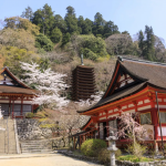 Rainy Season at Tanzan Shrine, Nara