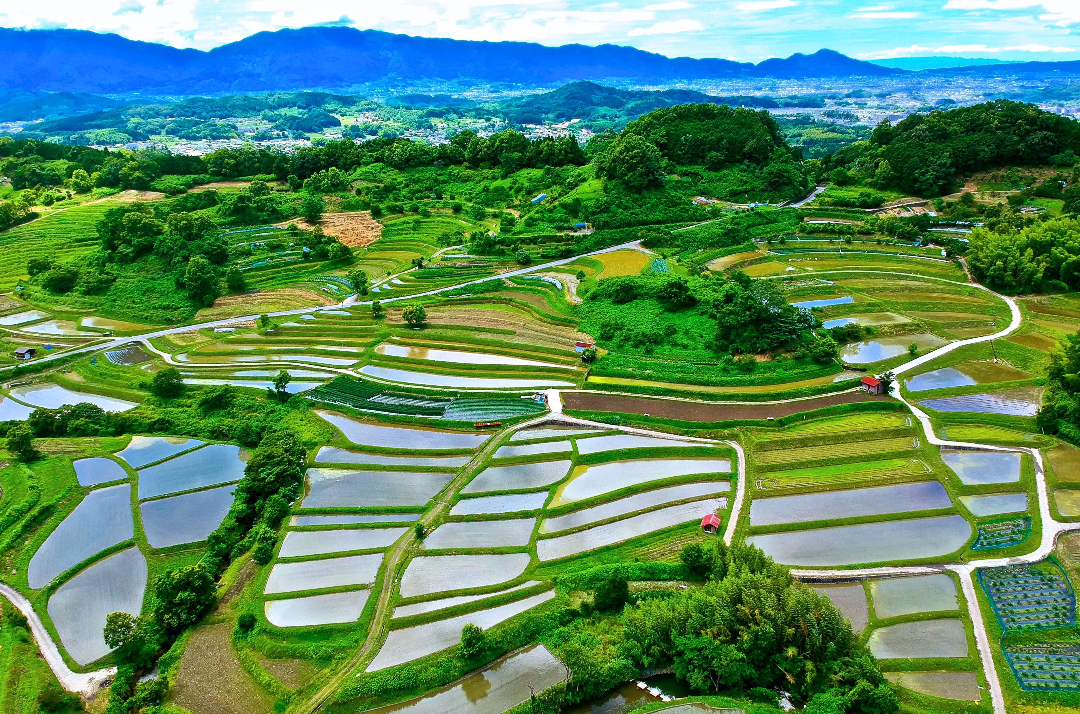 A Guided Journey Through Asuka Village with Local Experts